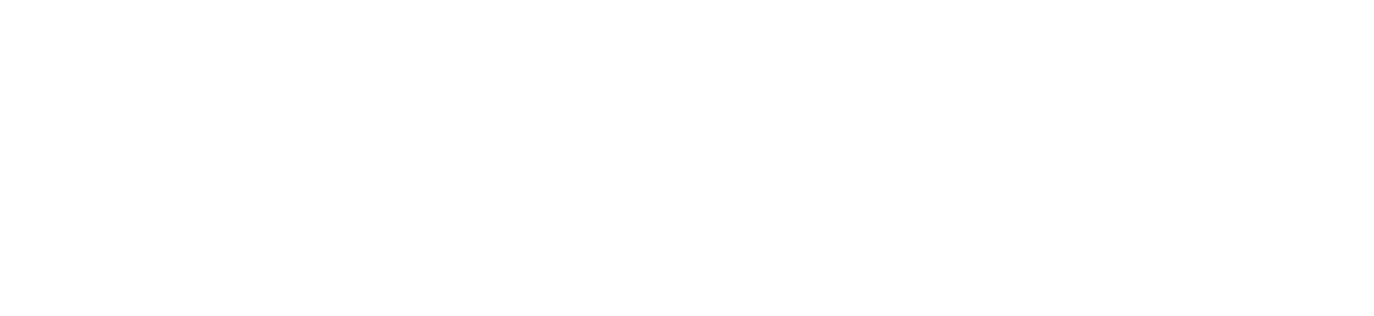 WordPress logo